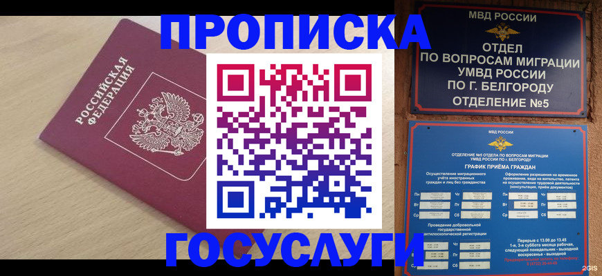 прописка законно в Карачеве